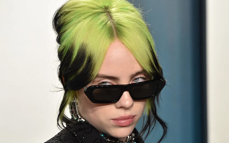 Billie Eilish Files For Restraining Order Against Stalker CAMPING OUT ACROSS THE STREET FROM HER