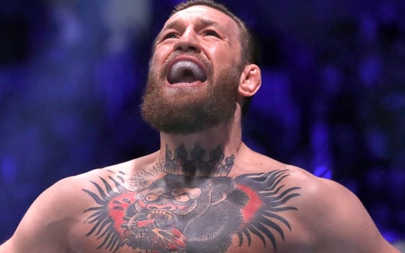 How Much Money Conor McGregor Has Made In His UFC Fighting Career