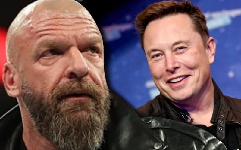 Triple H Calls Out Elon Musk — ‘Who Have You Ever Beat?’