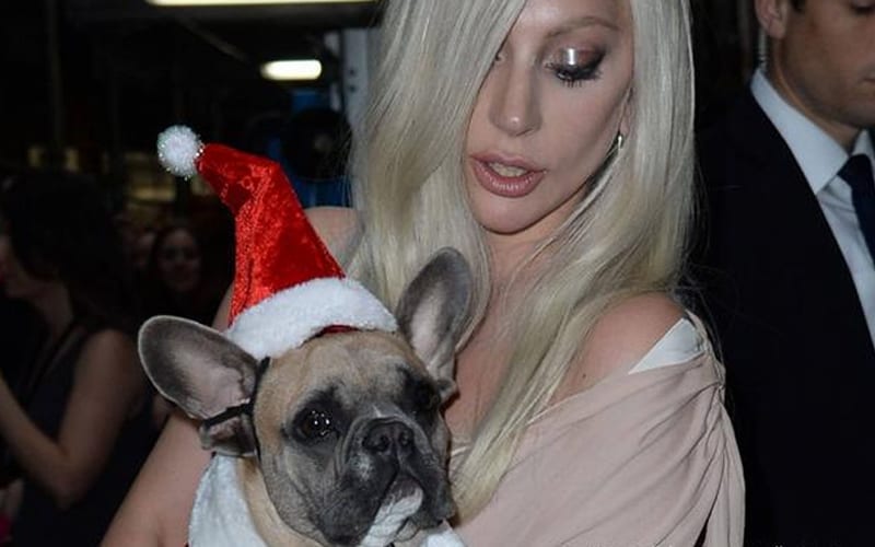 Lady Gaga’s Dognapping Case Will Be Televised On ‘America’s Most Wanted’