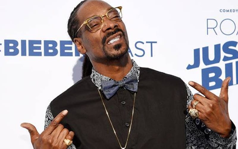 Snoop Dogg Blasts EA Over Server Outage — Threatens Taking Video Game Business To Soulja Boy