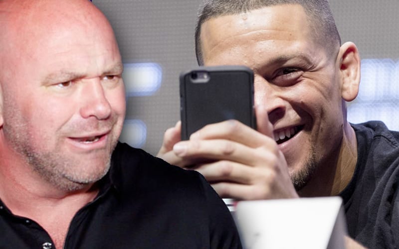 Nate Diaz Goes After Dana White In Series Of Cryptic Tweets