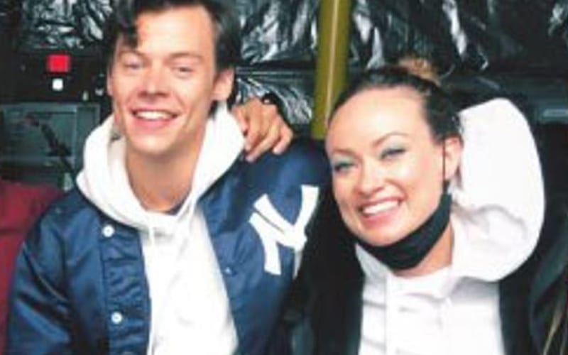 Are Harry Styles & Olivia Wilde Still Together?