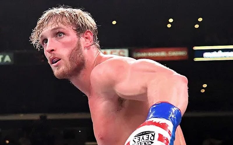 Logan Paul Responds To WWE Dropping His Name