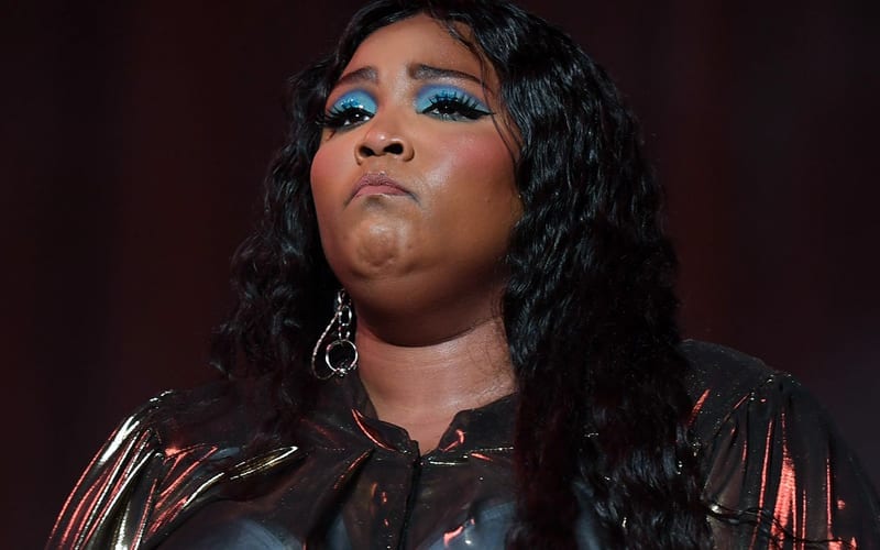 Lizzo Shuts Down Rumor Of Killing Someone By Stage-Diving