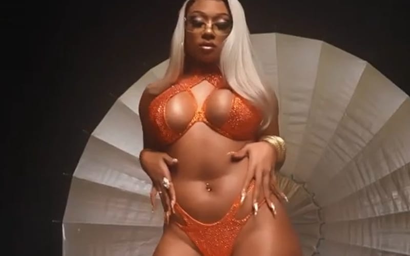 Megan Thee Stallion Tries To Break The Internet With Thirst Trap Video