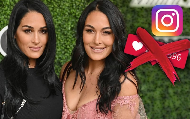 The Bella Twins Support Instagram Cancelling Likes & Comments