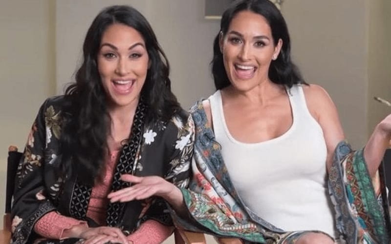 Bella Twins Confirm WWE Hall Of Fame & WrestleMania Plans