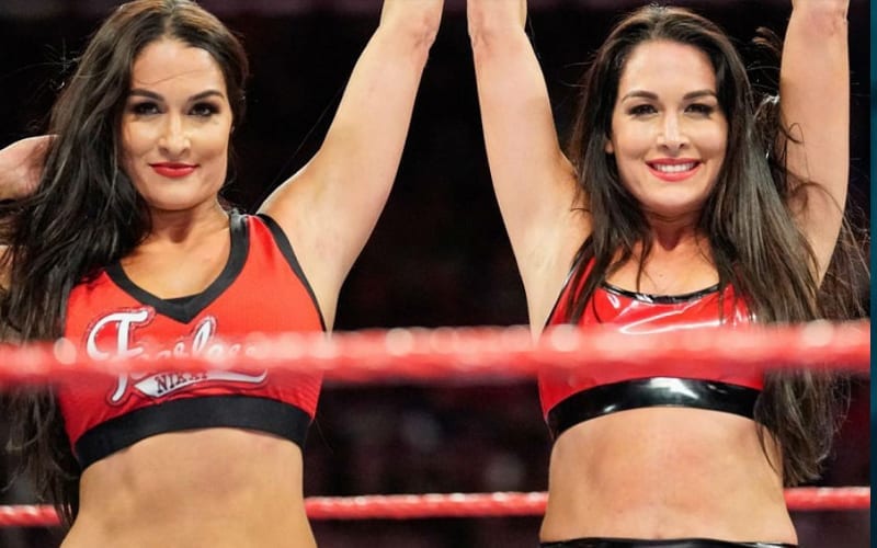 Bella Twins Will ‘Make Sure’ WWE Return Happens ‘In The Next Year’