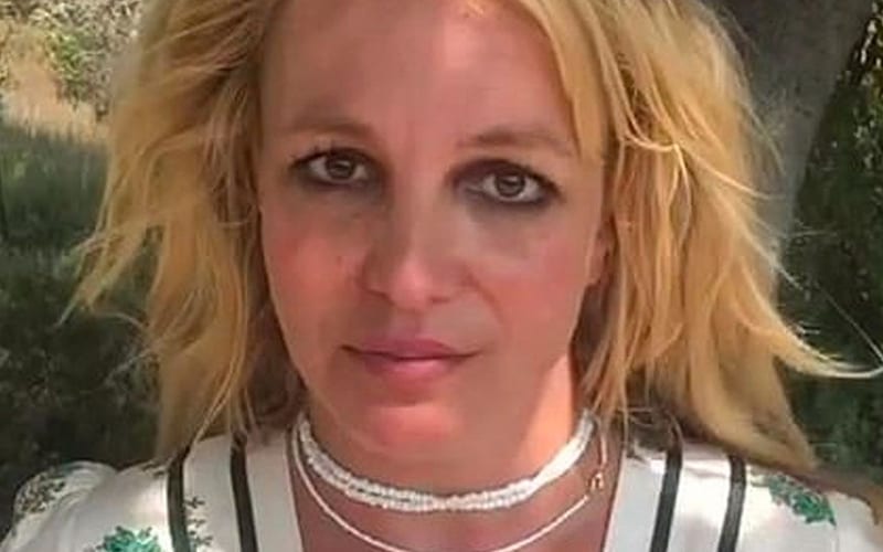 Britney Spears Cried For Two Weeks Straight After Release Of Recent Documentary