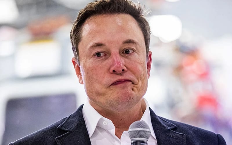 Elon Musk Is Not Dead Despite Trolls Saying Otherwise