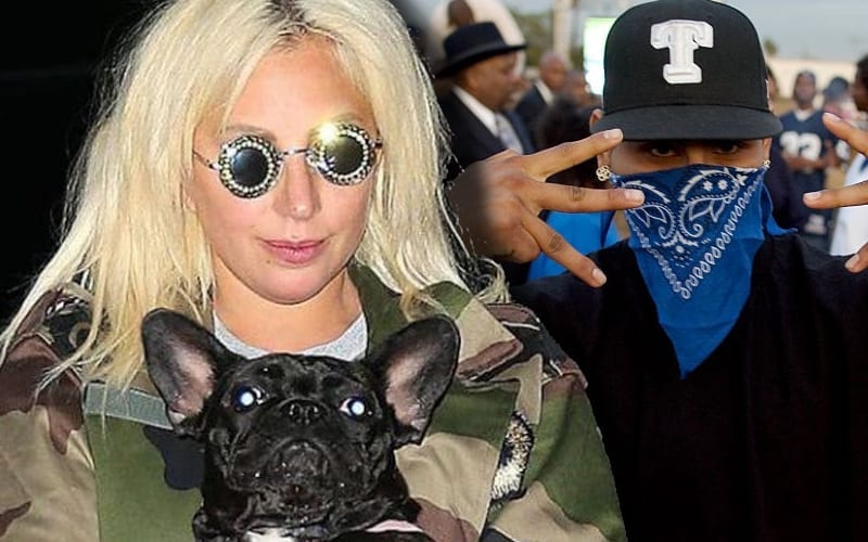 Lady Gaga’s Dognapping Case Could Have Been Gang Initiation