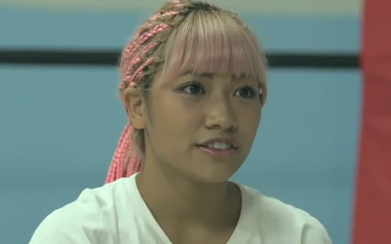 Man Fined ONLY $80 For Cyberbullying Hana Kimura Before Her Suicide