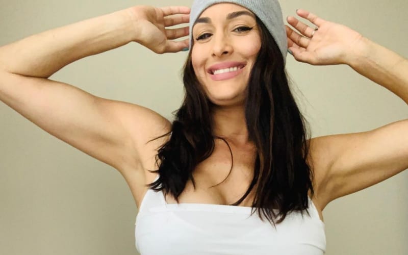 Nikki Bella Is Almost Back To ‘Pre Baby Body’ In New Stunning Photo