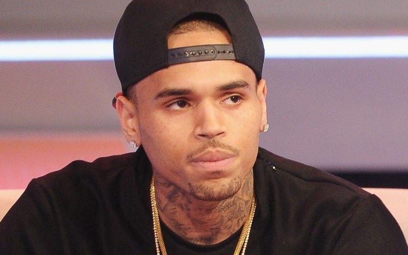 Chris Brown’s Cleaning Lady Suing Him Over Dog Attack