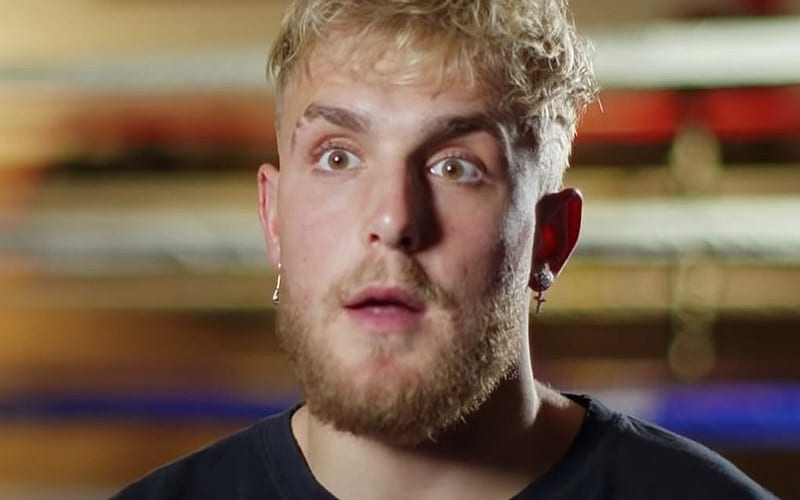 Jake Paul Gets Support From UFC Fighters After Blasting Dana White Over Underpaying Fighters