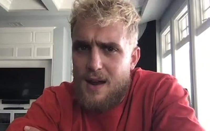 Jake Paul Thinks He Could Knock Nate Diaz Out In Just Three Rounds