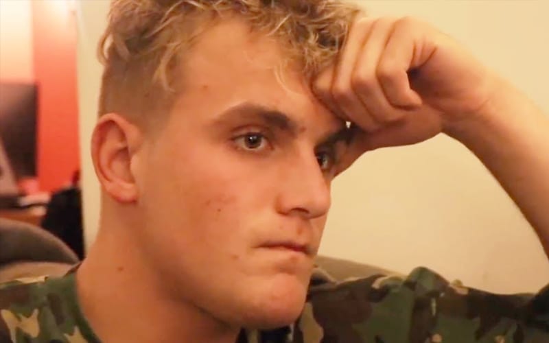 Jake Paul Brutally Roasted For Trying To Imitate Conor McGregor