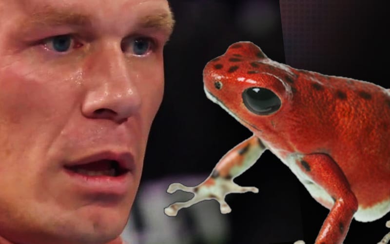 John Cena As Frogs Becomes Viral Sensation