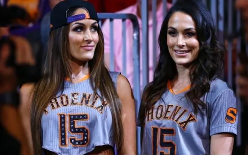 Hope That Bella Twins Will Elevate Other Women With WWE Return