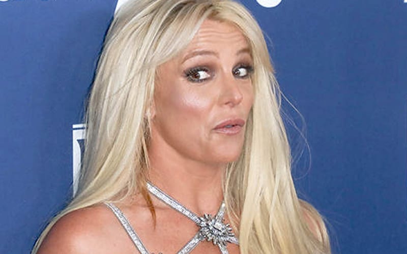Britney Spears Locks Herself In The Bathroom