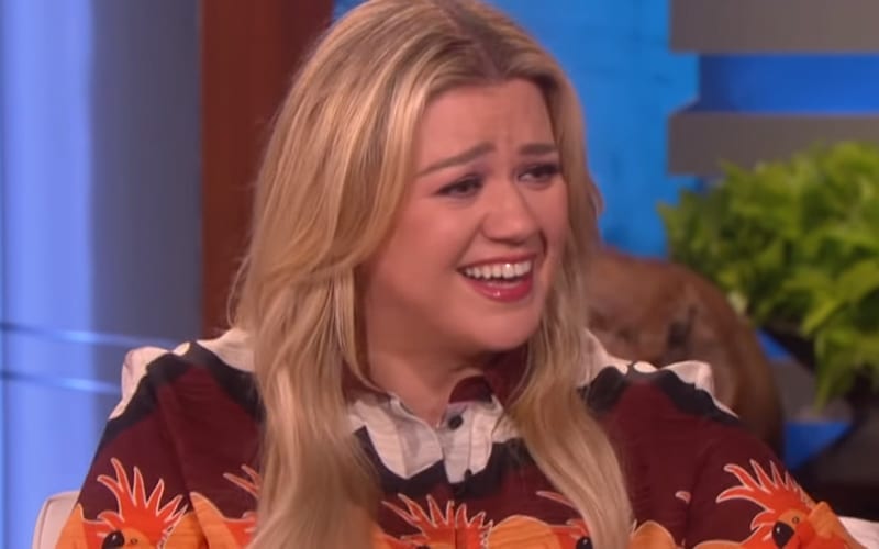 Kelly Clarkson Used Trashcan As Toilet During Concert