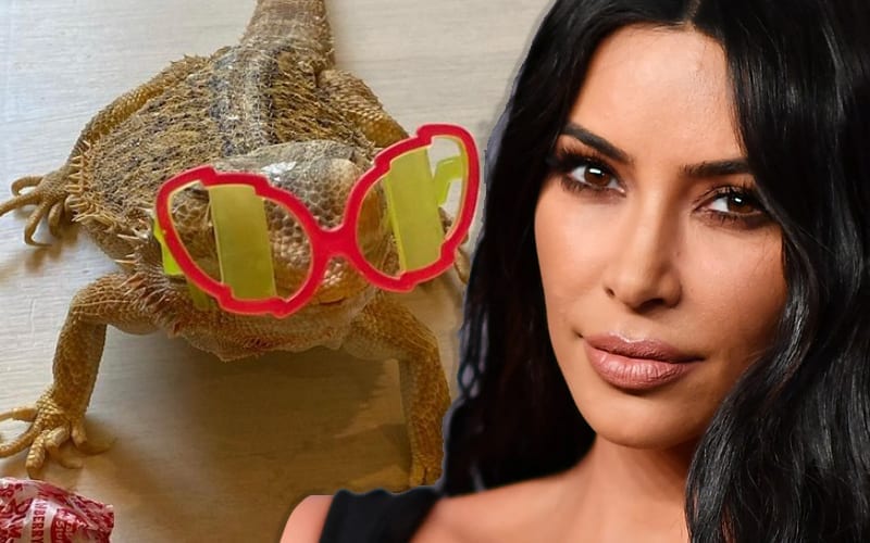 Kim Kardashian Under Fire For Mistreatment Of Pet Lizard