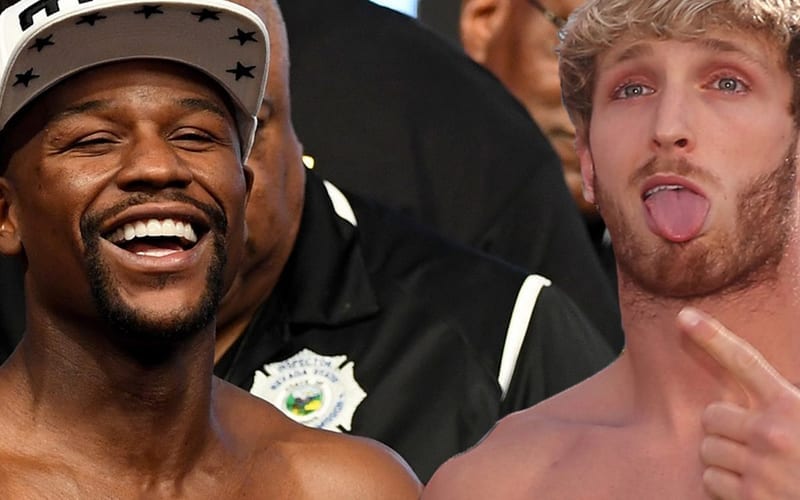 Logan Paul vs Floyd Mayweather Fight Could Be Taking Place After All