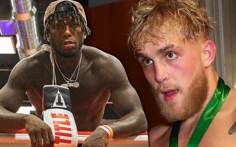 Nate Robinson Trying To Get Boxing Rematch With Jake Paul
