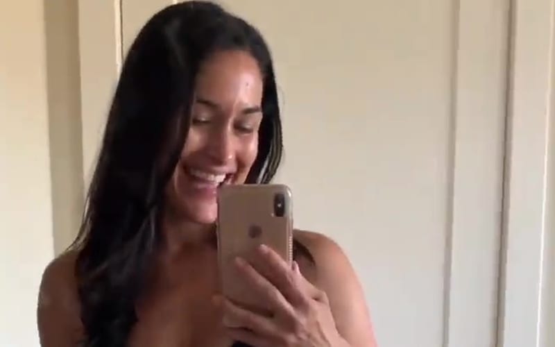 Nikki Bella Shows Off Big Milestone In Getting Back To Pre-Baby Weight