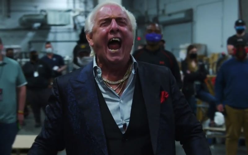 Ric Flair Officiates Slap Fight On Triller Fight Club