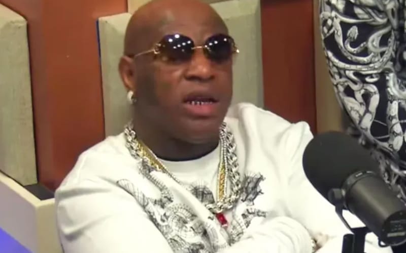 Birdman Reveals How Much Cash Money Rakes In from Artists’ Masters