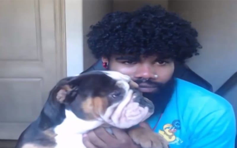 Ezekiel Elliott In Trouble After His Dogs Got Loose & Attacked Neighbors