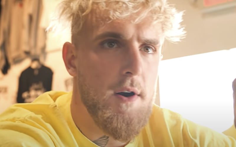 Jake Paul Claims Conor McGregor Is Ducking Him After Floyd Mayweather Boxing Match