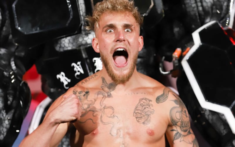 Jake Paul Leaving Triller For Big Deal With Showtime Boxing