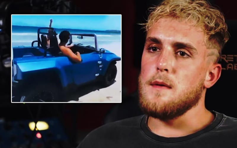 Jake Paul In Big Trouble For Violating Turtle Protection Laws In Puerto Rico