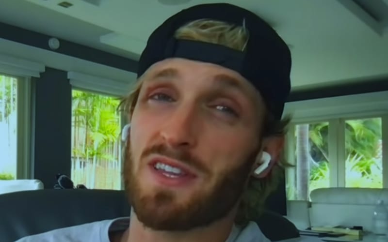 Logan Paul Thinks He’d Be Better At MMA Than Boxing