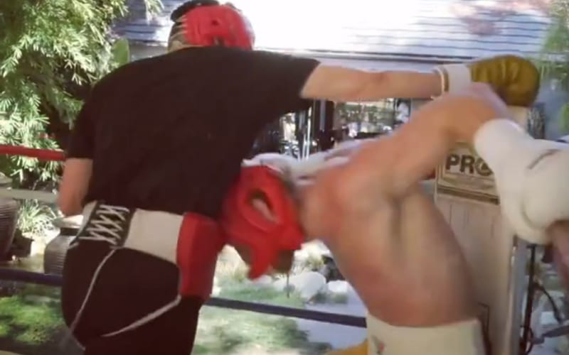 Logan Paul Shows Off Famous Muhammad Ali Move Ahead Of Mayweather Fight