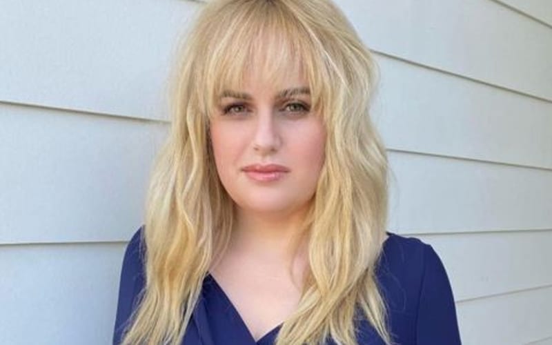 Rebel Wilson Struggling With Fertility Issues