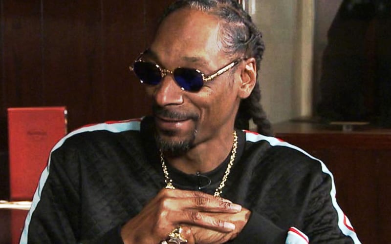 Snoop Dogg Calls NBA & NFL Racist