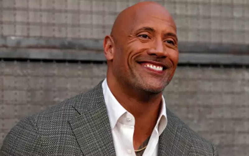 The Rock Lands Another DC Character Role