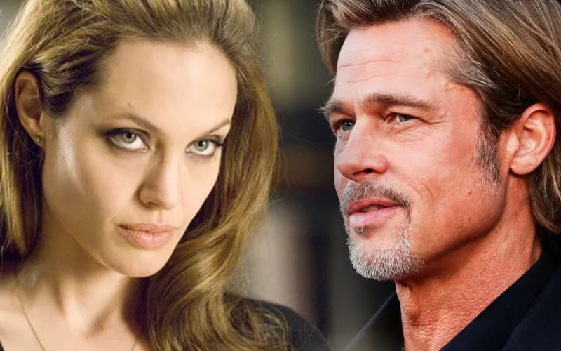 Angelina Jolie Feared For The Safety Of Her Family During Marriage To Brad Pitt