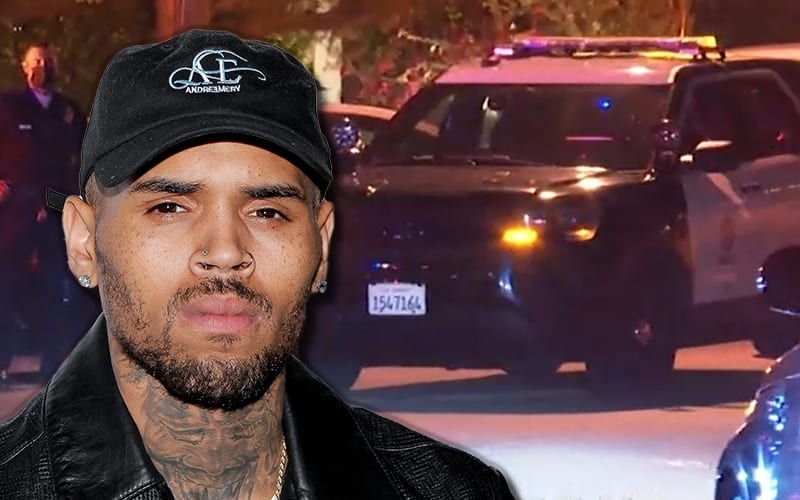 Chris Brown’s Birthday Party Broken Up By LAPD