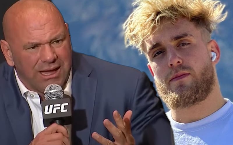 Dana White Says Jake Paul Is Only Starting A Fight With Him To Get Noticed