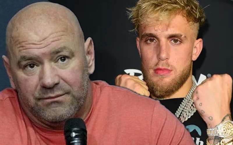 Dana White Accused Of Trying To Steal Jake Paul For UFC