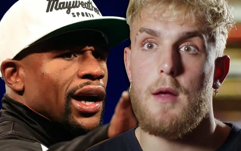 Floyd Mayweather Not Ruling Out Jake Paul Fight