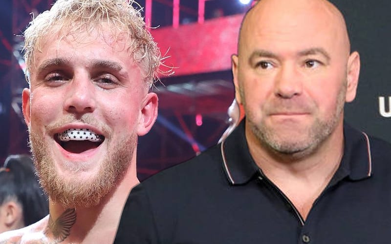 Jake Paul Claims To Be Having Conversations With UFC