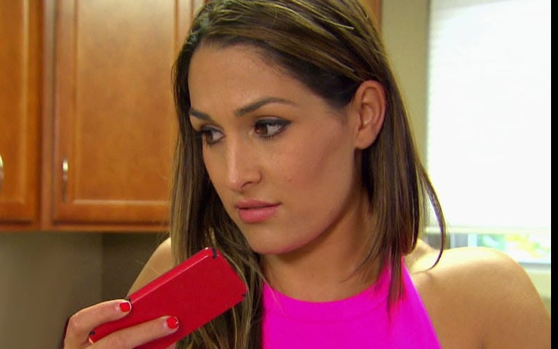 Nikki Bella Grilled By Fans Over Controversial Instagram Posts