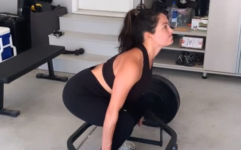 Nikki Bella Says Her Booty Is Getting Stronger With Intense Workout Video