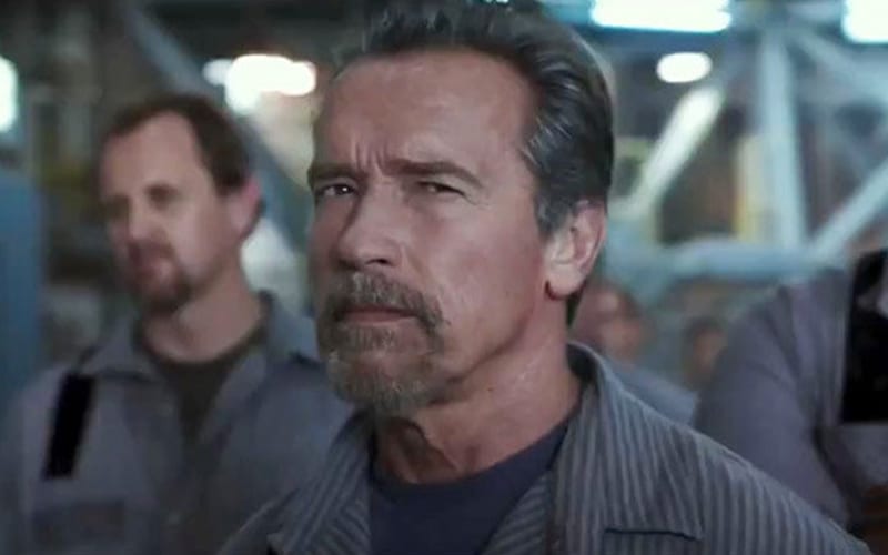 Arnold Schwarzenegger Set to Make TV Series Debut on Netflix